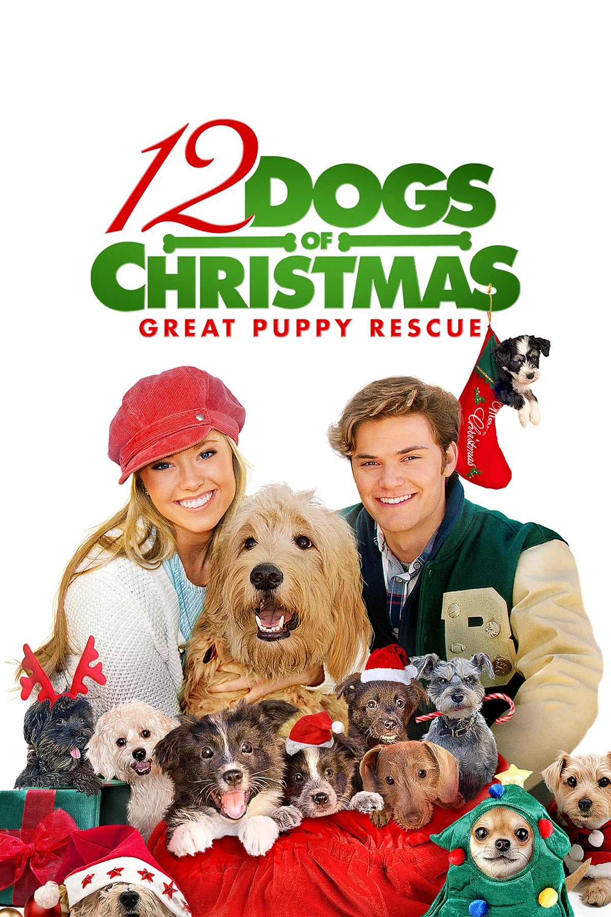 Постер 12 Dogs of Christmas: Great Puppy Rescue